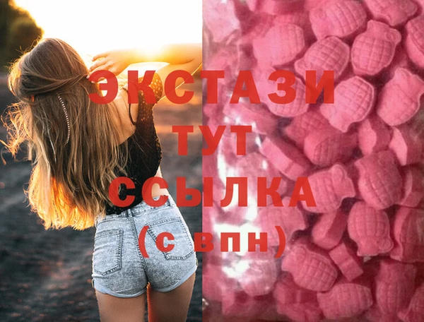 ECSTASY Горняк