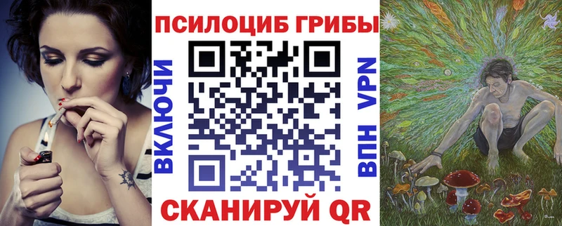 где продают   даркнет формула  Галлюциногенные грибы Psilocybine cubensis  Лысково  блэк спрут онион 